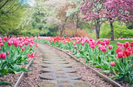 commercial hardscape in Salem, Salem hardscape company, commercial hardscaping in Salem