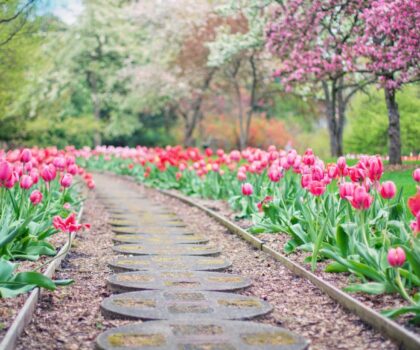 Hardscaping Company in Kenosha, professional Hardscaping Company in Kenosha, premium Hardscaping Company in Kenosha, five star Hardscaping Company in Kenosha