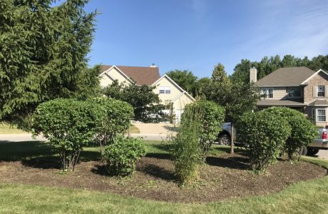 Professional Landscape in Salem Landscape in Salem, best Landscape in Salem, professional Landscape in Salem