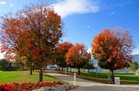 Salem landscape, landscaping in Southeast Wisconsin, lawn care Salem WI