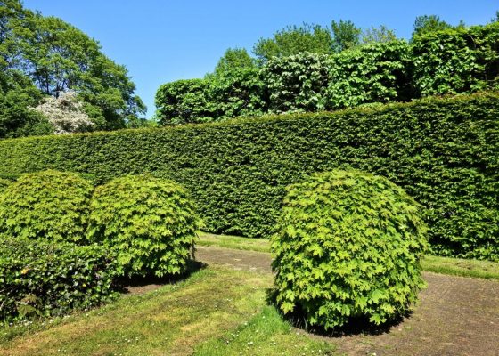 Landscape Company in Salem, landscaping services in Salem WI, lawn care in Southeast WI