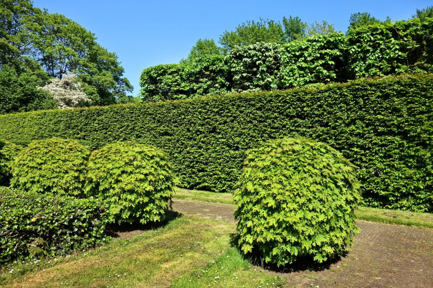landscape in Racine landscape in Racine, Racine landscape, landscaping in Racine